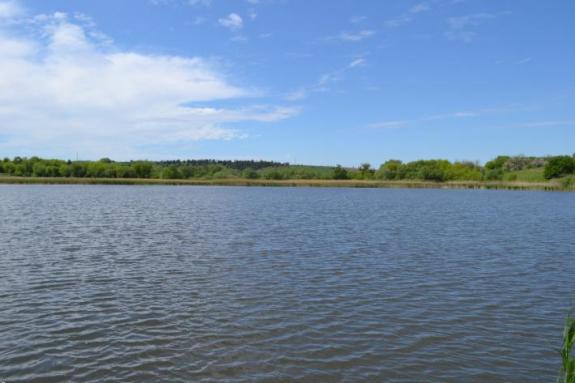 Платна водойма для риболовлі в с. Омельгород, фото