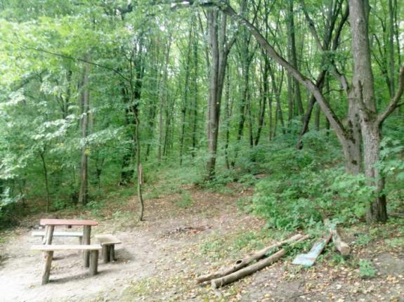 Неудачная поездка на Матвеевский Бам (Ставок возле с. Матвеевка (Бам), Черкасский район), фото