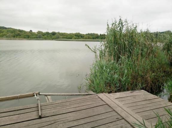 Тестовая рыбалка в с. Косари (Ставок в с. Косари, Черкасский район), фото