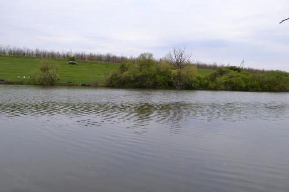 Ставок в с. Марьяновка (с. Заречье), Маловисковский район, Кировоградская область