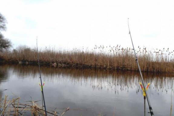 Ловля плотвы на Суле (открытие сезона рыбалки на мирную рыбу) (Рыбалка на реке Сула (с. Плехов), Лубенский район), фото