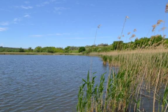 Платна водойма для риболовлі в с. Омельгород, фото