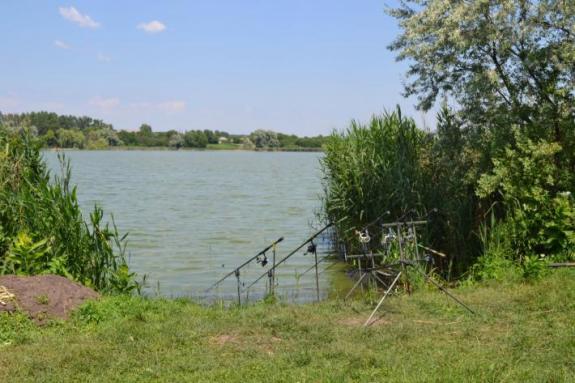 Ставок в с. Поселяновка, платная рыбалка, фото
