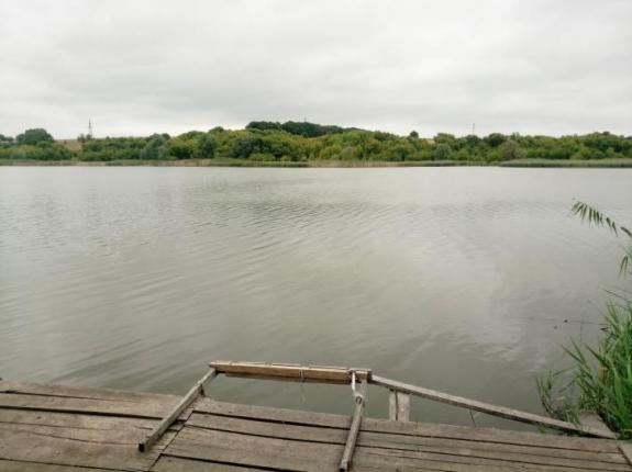 Тестовая рыбалка в с. Косари (Ставок в с. Косари, Черкасский район), фото