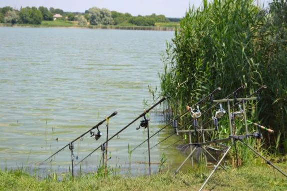 Ставок в с. Поселяновка, платная рыбалка, фото