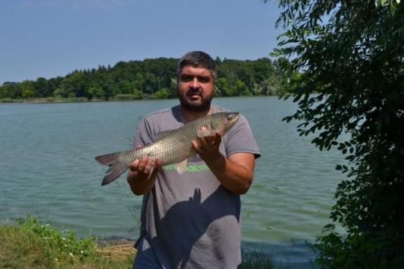 Ставок в с. Поселяновка, платная рыбалка, фото